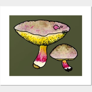 Red Cracking Bolete Posters and Art